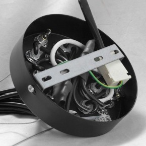 Подвесная люстра Lussole Seneca GRLSP-8177 в Лабытнанги - labytnangi.ok-mebel.com | фото 10