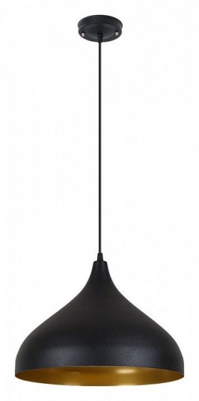 Подвесной светильник Arte Lamp Carmel A7076SP-1BK в Лабытнанги - labytnangi.ok-mebel.com | фото 2