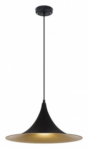 Подвесной светильник Arte Lamp Carmel A7080SP-1BK в Лабытнанги - labytnangi.ok-mebel.com | фото 2