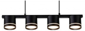 Подвесной светильник Arte Lamp Legacy A8024SP-4BK в Лабытнанги - labytnangi.ok-mebel.com | фото