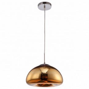 Подвесной светильник Arte Lamp Swift A8041SP-1GO в Лабытнанги - labytnangi.ok-mebel.com | фото 2