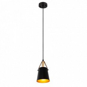 Подвесной светильник Arte Lamp Thomas A7032SP-1BK в Лабытнанги - labytnangi.ok-mebel.com | фото 3