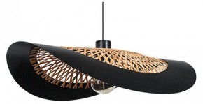Подвесной светильник Arte Lamp Woodstock A7059SP-1BK в Лабытнанги - labytnangi.ok-mebel.com | фото