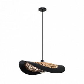 Подвесной светильник Arte Lamp Woodstock A7059SP-1BK в Лабытнанги - labytnangi.ok-mebel.com | фото 2