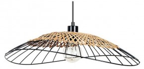 Подвесной светильник Arte Lamp Woodstock A7061SP-1BK в Лабытнанги - labytnangi.ok-mebel.com | фото