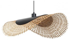 Подвесной светильник Arte Lamp Woodstock A7063SP-1BK в Лабытнанги - labytnangi.ok-mebel.com | фото