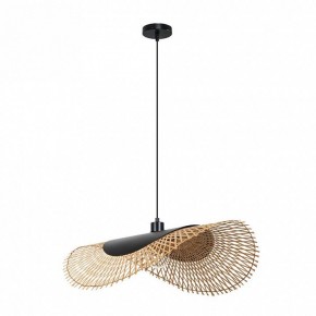 Подвесной светильник Arte Lamp Woodstock A7063SP-1BK в Лабытнанги - labytnangi.ok-mebel.com | фото 2