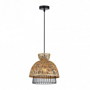 Подвесной светильник Arte Lamp Woodstock A7070SP-1BK в Лабытнанги - labytnangi.ok-mebel.com | фото