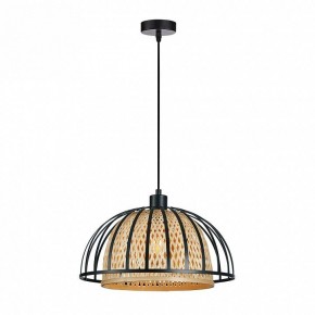 Подвесной светильник Arte Lamp Woodstock A7071SP-1BK в Лабытнанги - labytnangi.ok-mebel.com | фото