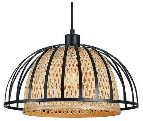 Подвесной светильник Arte Lamp Woodstock A7071SP-1BK в Лабытнанги - labytnangi.ok-mebel.com | фото 2