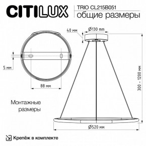 Подвесной светильник Citilux Trio CL215B051 в Лабытнанги - labytnangi.ok-mebel.com | фото 8