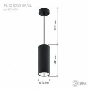 Подвесной светильник Эра  PL12 GX53 BK/SL в Лабытнанги - labytnangi.ok-mebel.com | фото 8