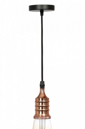 Подвесной светильник Эра PL13 Б0048525 в Лабытнанги - labytnangi.ok-mebel.com | фото 3