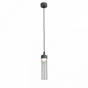 Подвесной светильник Favourite Outdoor 4703-1P в Лабытнанги - labytnangi.ok-mebel.com | фото 3