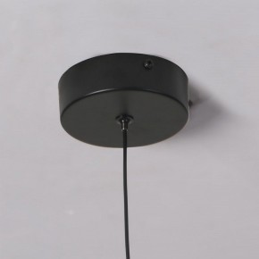 Подвесной светильник Favourite Wilet 4656-1P в Лабытнанги - labytnangi.ok-mebel.com | фото 10