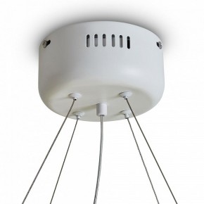 Подвесной светильник Freya Rain FR5546PL-L60W в Лабытнанги - labytnangi.ok-mebel.com | фото 9