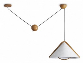 Подвесной светильник Freya Umbra FR5554CL-01T в Лабытнанги - labytnangi.ok-mebel.com | фото