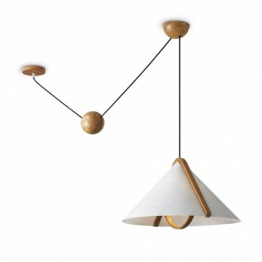 Подвесной светильник Freya Umbra FR5554CL-01T в Лабытнанги - labytnangi.ok-mebel.com | фото 2