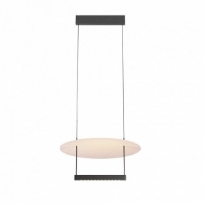 Подвесной светильник Maytoni Ambience MOD280PL-L23B3K1 в Лабытнанги - labytnangi.ok-mebel.com | фото 3