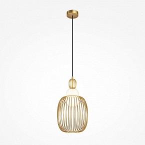 Подвесной светильник Maytoni Levitation MOD376PL-01G1 в Лабытнанги - labytnangi.ok-mebel.com | фото 2
