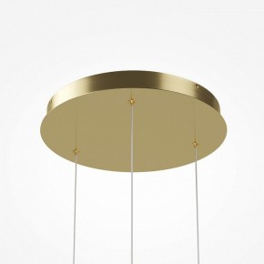 Подвесной светильник Maytoni Sirocco MOD359PL-L17BS3K в Лабытнанги - labytnangi.ok-mebel.com | фото 6