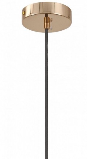 Подвесной светильник Moderli Charm V11176-1P в Лабытнанги - labytnangi.ok-mebel.com | фото 8