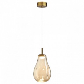 Подвесной светильник Odeon Light Nave 5098/4L в Лабытнанги - labytnangi.ok-mebel.com | фото 2