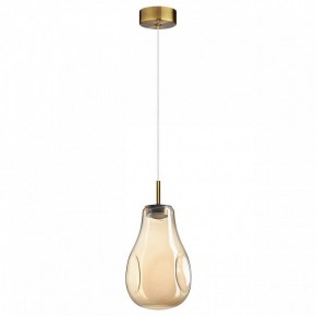 Подвесной светильник Odeon Light Nave 5098/4L в Лабытнанги - labytnangi.ok-mebel.com | фото 4