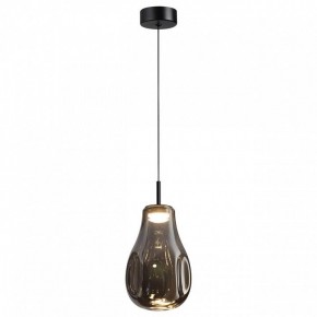 Подвесной светильник Odeon Light Nave 5098/4LC в Лабытнанги - labytnangi.ok-mebel.com | фото 2