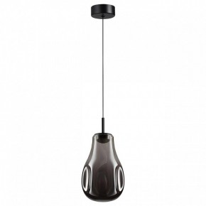 Подвесной светильник Odeon Light Nave 5098/4LC в Лабытнанги - labytnangi.ok-mebel.com | фото 4