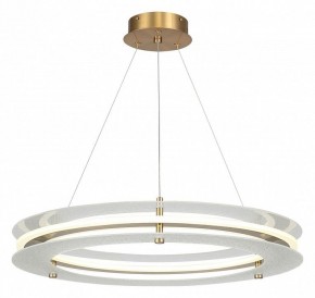 Подвесной светильник ST-Luce FAGY SL6245.203.01 в Лабытнанги - labytnangi.ok-mebel.com | фото 2