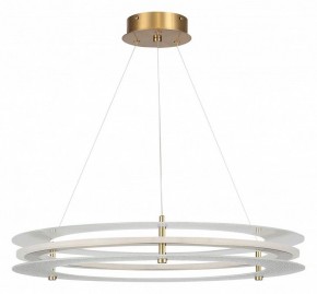 Подвесной светильник ST-Luce FAGY SL6245.203.01 в Лабытнанги - labytnangi.ok-mebel.com | фото 3