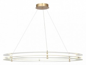 Подвесной светильник ST-Luce FAGY SL6245.213.01 в Лабытнанги - labytnangi.ok-mebel.com | фото 2