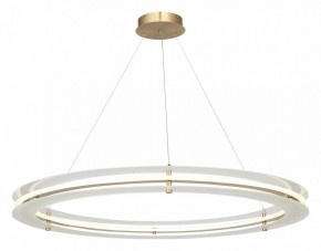 Подвесной светильник ST-Luce FAGY SL6245.213.01 в Лабытнанги - labytnangi.ok-mebel.com | фото 4