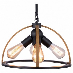 Подвесной светильник TopLight Jasmin TL1179H-04BK в Лабытнанги - labytnangi.ok-mebel.com | фото