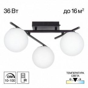 Потолочная люстра Citilux Dorsy CL223132 в Лабытнанги - labytnangi.ok-mebel.com | фото 10