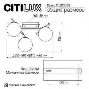 Потолочная люстра Citilux Dorsy CL223132 в Лабытнанги - labytnangi.ok-mebel.com | фото 12