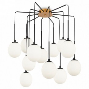 Потолочная люстра Maytoni Branch MOD176PL-12G в Лабытнанги - labytnangi.ok-mebel.com | фото 3