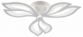 Потолочная люстра Natali Kovaltseva FORTUNA LED LAMPS 81107/2C в Лабытнанги - labytnangi.ok-mebel.com | фото