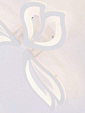 Потолочная люстра Natali Kovaltseva FORTUNA LED LAMPS 81107/2C в Лабытнанги - labytnangi.ok-mebel.com | фото 11