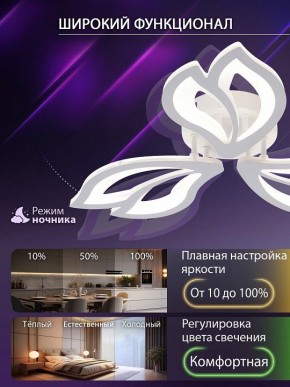 Потолочная люстра Natali Kovaltseva FORTUNA LED LAMPS 81107/2C в Лабытнанги - labytnangi.ok-mebel.com | фото 5