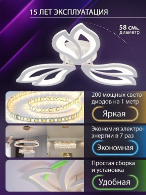 Потолочная люстра Natali Kovaltseva FORTUNA LED LAMPS 81107/2C в Лабытнанги - labytnangi.ok-mebel.com | фото 6