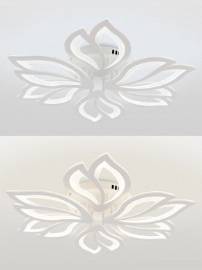 Потолочная люстра Natali Kovaltseva FORTUNA LED LAMPS 81107/6C в Лабытнанги - labytnangi.ok-mebel.com | фото 4