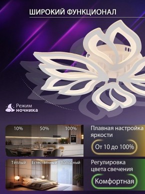 Потолочная люстра Natali Kovaltseva FORTUNA LED LAMPS 81107/6C в Лабытнанги - labytnangi.ok-mebel.com | фото 6