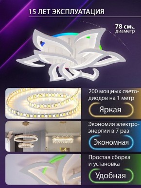 Потолочная люстра Natali Kovaltseva OLIMP LED LAMPS 81435 в Лабытнанги - labytnangi.ok-mebel.com | фото 5