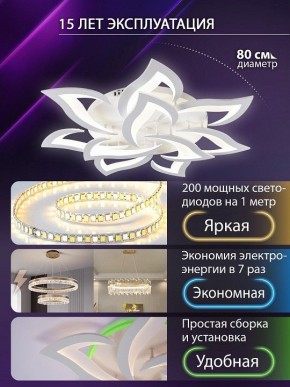 Потолочная люстра Natali Kovaltseva OLIMP LED SMART 84005 в Лабытнанги - labytnangi.ok-mebel.com | фото 5