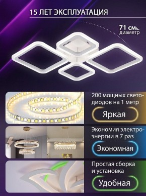 Потолочная люстра Natali Kovaltseva OPTI LED LAMPS 81108/1C в Лабытнанги - labytnangi.ok-mebel.com | фото 5
