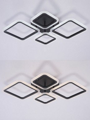 Потолочная люстра Natali Kovaltseva OPTI LED LAMPS 81108/2C в Лабытнанги - labytnangi.ok-mebel.com | фото 4