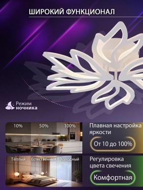 Потолочная люстра Natali Kovaltseva RIF LED LAMPS 81118/5C в Лабытнанги - labytnangi.ok-mebel.com | фото 6
