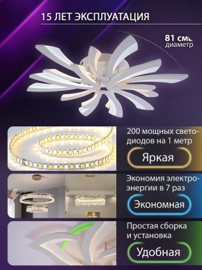 Потолочная люстра Natali Kovaltseva VIO LED LAMPS 81454 в Лабытнанги - labytnangi.ok-mebel.com | фото 5